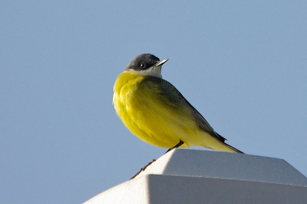 Photo prise avec PENTAX K-3+500mm SIGMA