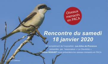 Exposition Les Ailes de Provence et présentation à Aix en Provence