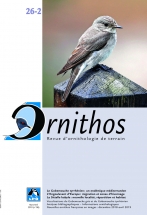 Ornitho n°136 (dans la partie sur les gobemouches)