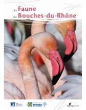 La faune des Bouches-du-Rhônes