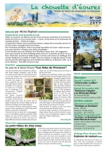 article-petit-duc
